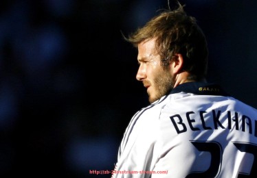 24VS体育直播-公司健身器材购置简报模板及配备标准参考