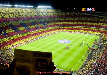 24VS体育直播-中超联赛官方网站介绍及信息查询指南