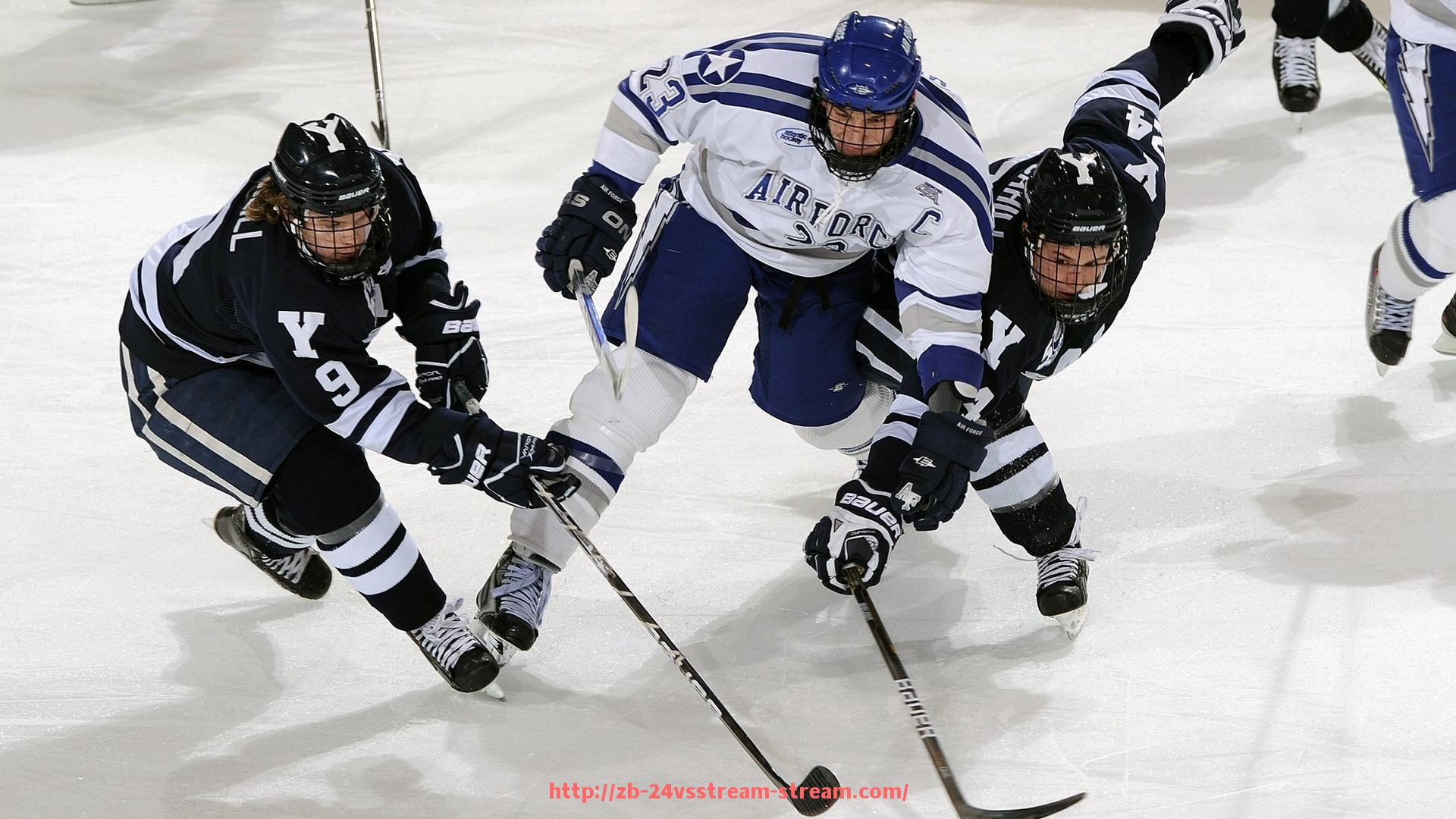 24VS体育直播-室内健身器材组合使用技巧：科学体育训练系统构建