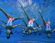 24VS体育直播-用户行为轨迹映射在世俱杯赛事直播平台中的应用价值分析